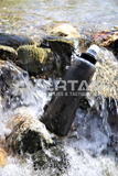 Katadyn Tactical BeFree - EMERTAC - Emergency Supplies & Tactical Gear