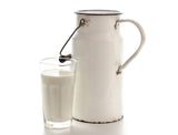 Trek´n Eat Vollmilchpulver 2 Liter - EMERTAC - Emergency Supplies & Tactical Gear